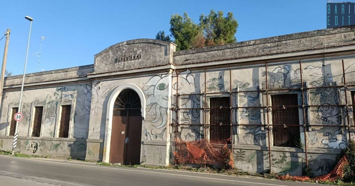 Abbandonati o trasformati in canili, abitazioni e centri culturali: la nuova vita degli ex mattatoi